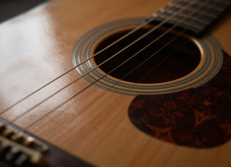 Close-up of a high-end acoustic guitar body showing the glossy finish and wood grain textures.