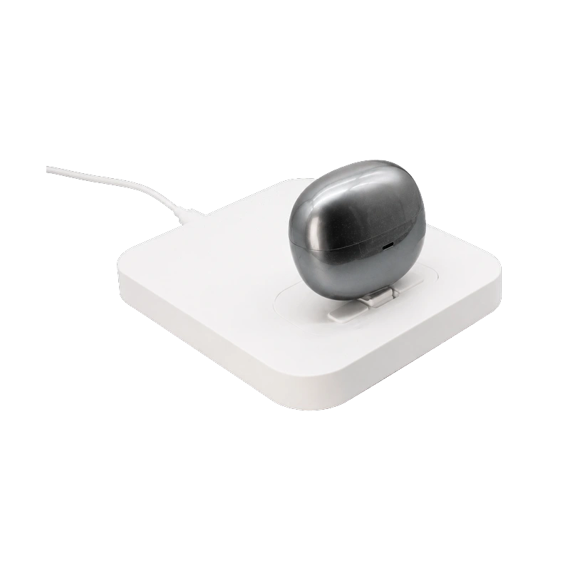 Security Display DSP7016 Earphones
