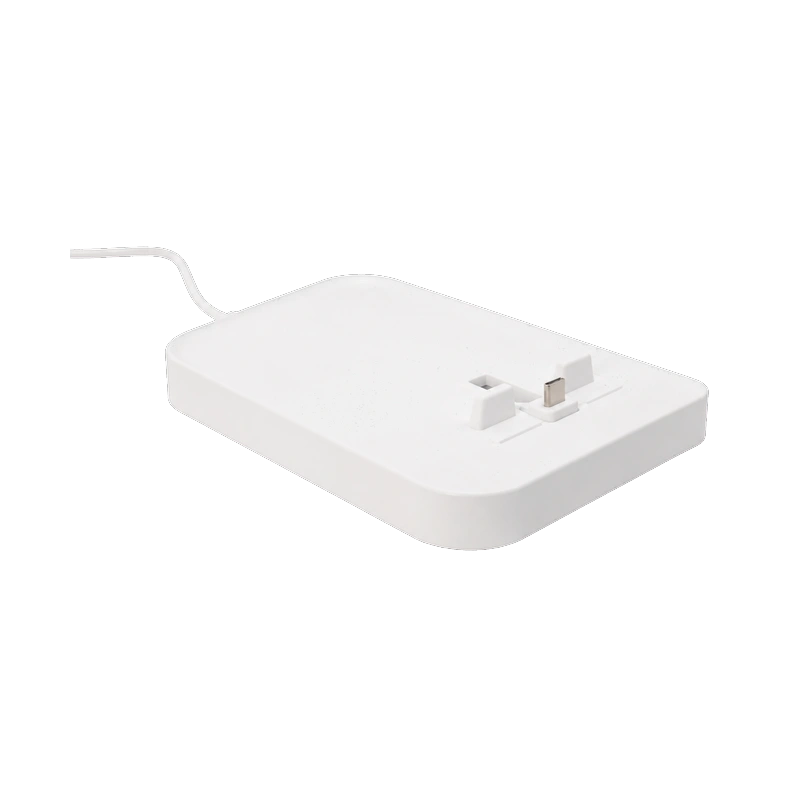 Security Display DSP7016A Earphones