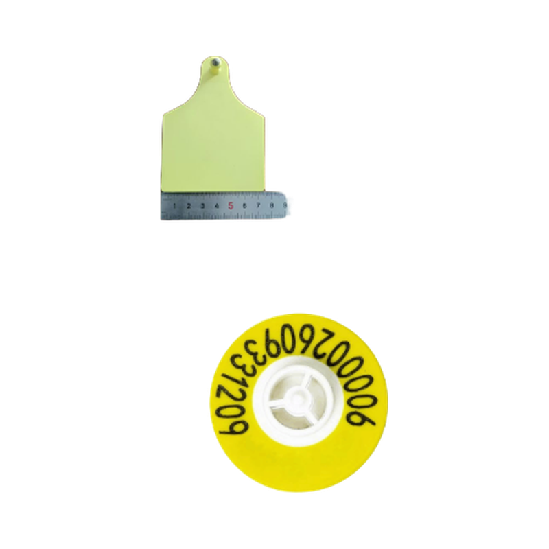 rif01b