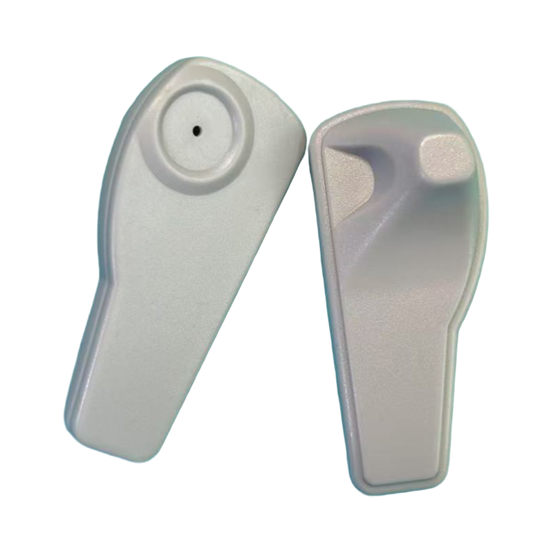 rit01
