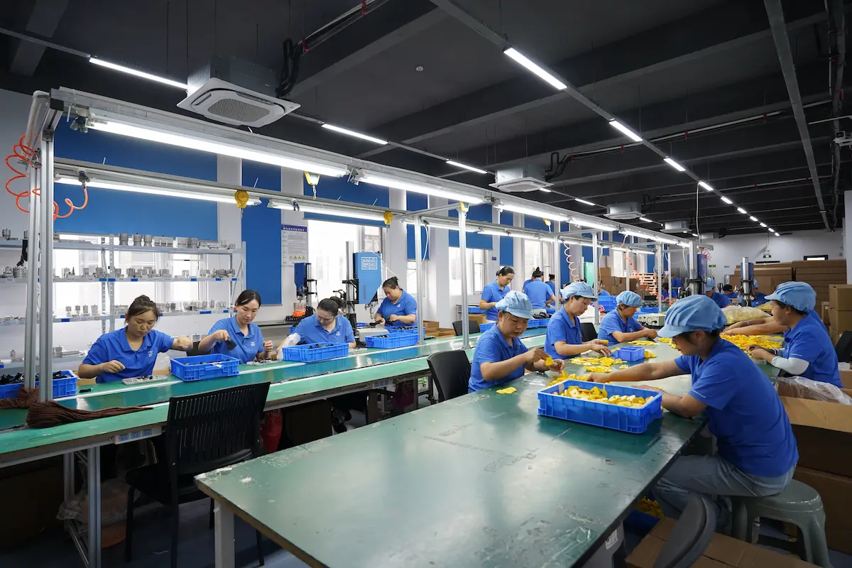 Dragon Guard Production Line